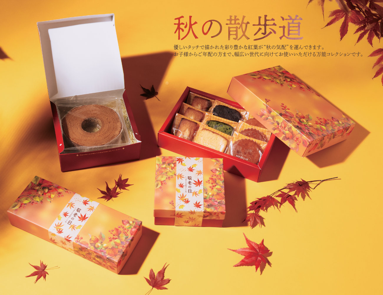 PC秋の散歩道 65